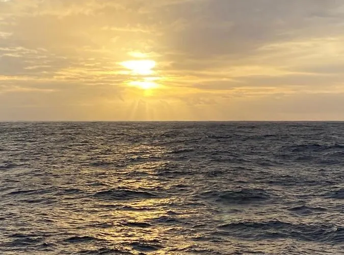 Przy Kawiarence 3 公寓